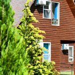 Oliver Inn-Balatonlelle-63709