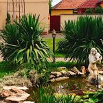 Op-Art Panzió-Monor-42506