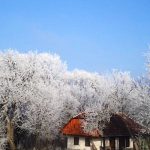 Őrségi Fecskefészek Vendégház-Őriszentpéter-71438