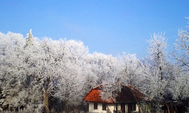 Őrségi Fecskefészek Vendégház-Őriszentpéter-71438