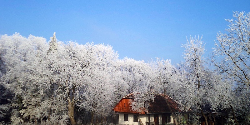 Őrségi Fecskefészek Vendégház-Őriszentpéter-71438