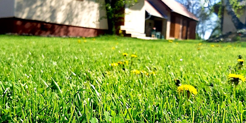 Őrségi Lak-Tanya-Viszák-43942