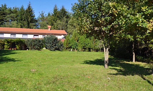 Őrségi Patakparti Alpaka Panzió-Kisrákos-35306
