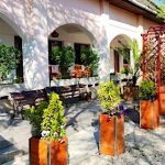 Oswaldo Hotel-Budapest-35778