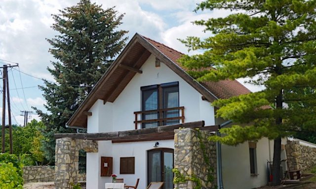 Panorama Vine House-Balatonfüred-42037