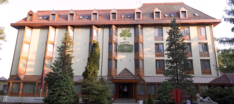 Park Hotel-Gyula-38478