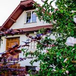 Parkland Inn-Érd-42415