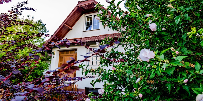 Parkland Inn-Érd-42415