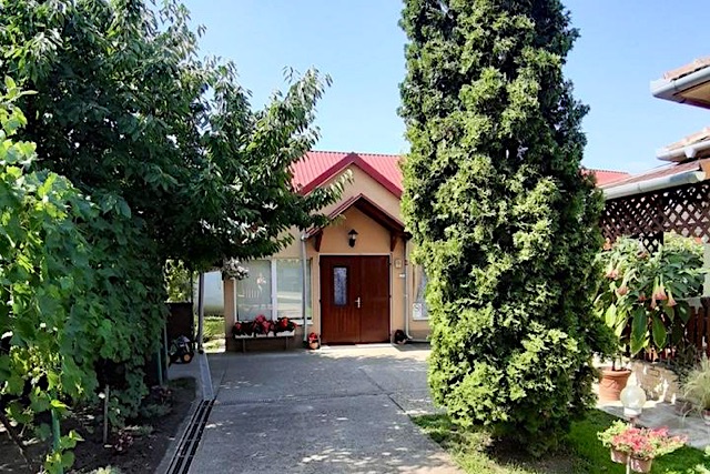 Pázsit Vendégház-Szarvas-27883