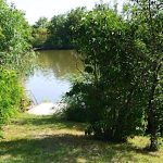 Peresi Apartman-Mezőtúr-27880