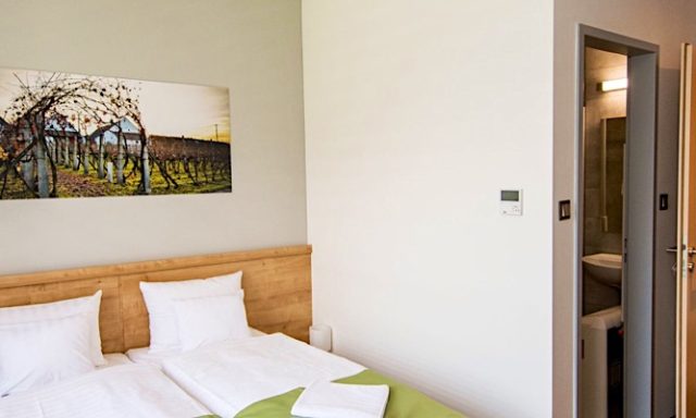 Pilvax Hotel-Kalocsa-38602