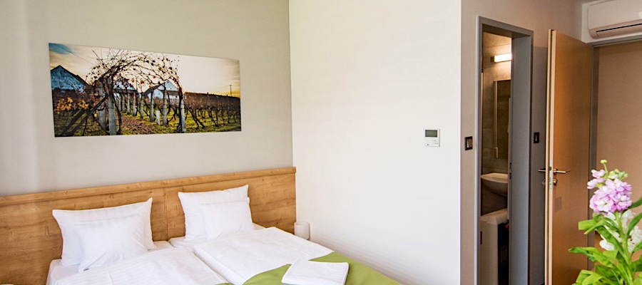 Pilvax Hotel-Kalocsa-38602