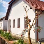 Pista Vendégház-Szatmárcseke-22079