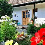 Pitypang Vendégház-Szálka-25715