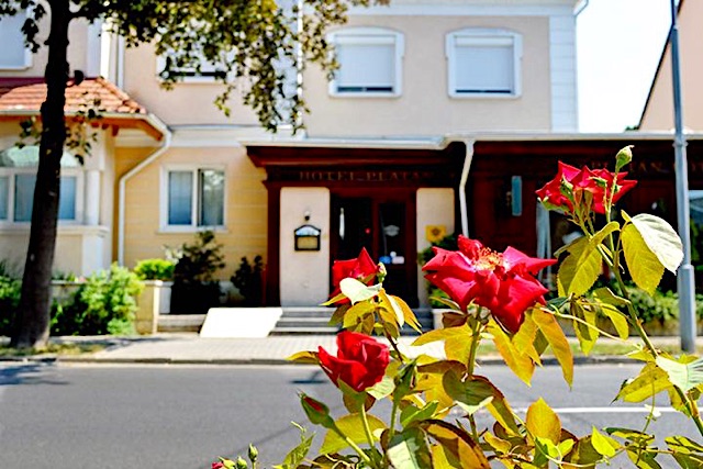 Platán Hotel-Sárvár-28771