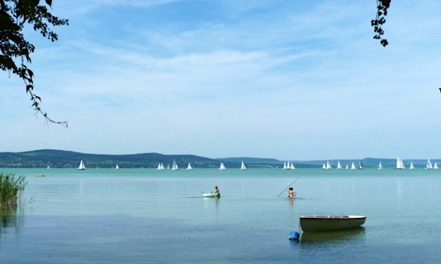 Platán Panzió-Balatonboglár-42884