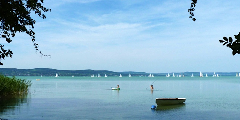 Platán Panzió-Balatonboglár-42884