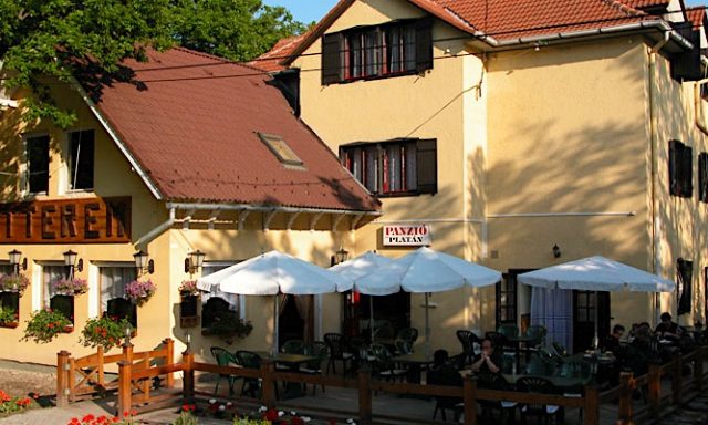 Platán Panzió-Dobogókő-42291