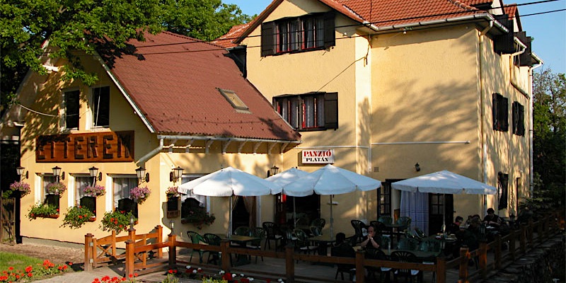Platán Panzió-Dobogókő-42291