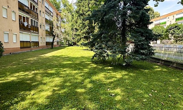 Plaza Hotel-Gyula-77931