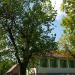 Pomper Porta Vendégház-Kisrákos-70150