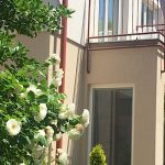 Rév-Panzió-Abádszalók-69058