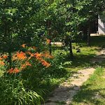 Révfülöpi Oázis Vendégház-Révfülöp-69599