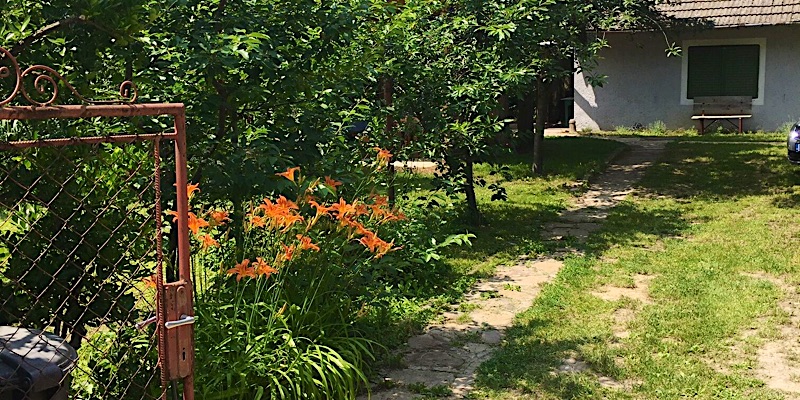 Révfülöpi Oázis Vendégház-Révfülöp-69599