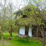 Rigó Vendégház-Őriszentpéter-19390