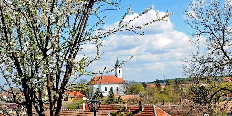 Rókusfalvy Borhotel-Etyek-71085