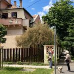 Roland Apartman Zugló-Budapest-69536