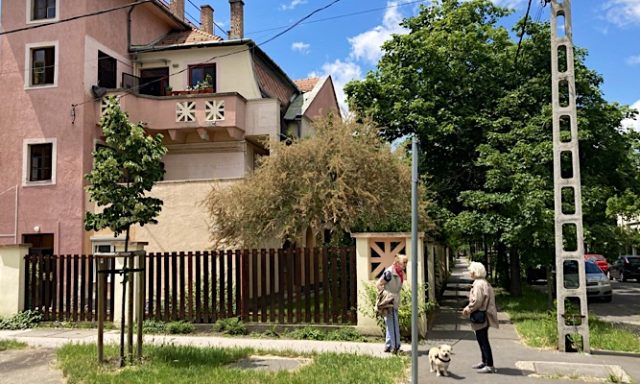 Roland Apartman Zugló-Budapest-69536