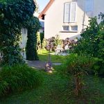 Romantikus Kisházikó-Balatonfüred-30772