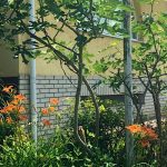 Rózsakert Panzió-Nyíregyháza-42678