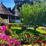 Rózsakert Panzió-Szigliget-11077