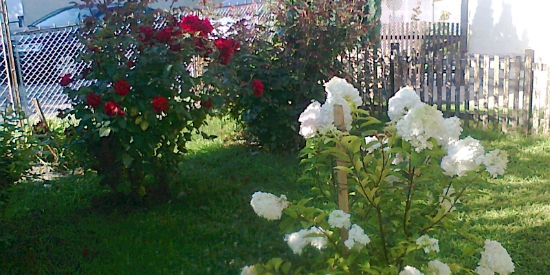 Smaragd Villa-Balatonboglár-68905