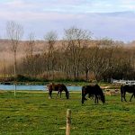 Sokoró Fogadó-Sokorópátka-27598