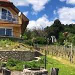 Szelíd Novella Vendégház-Balatongyörök-70806