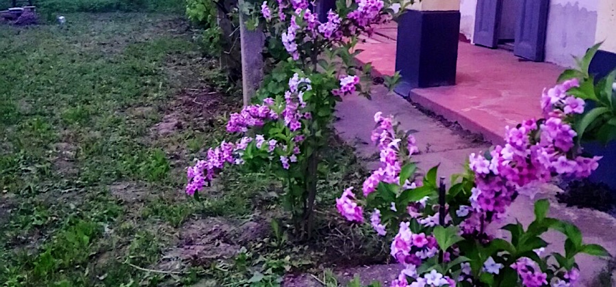 Szelíd Tisza Vendégház-Tiszafüred-36111