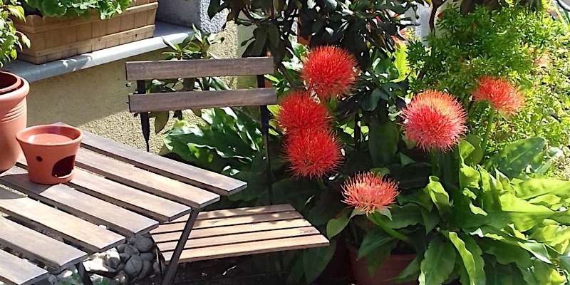 Szentesi Panzió-Fertőrákos-42816