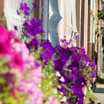 Szivárvány Panzió-Szeged-42471