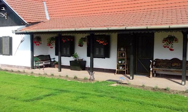 Szívünk Csücske Vendégház-Sarud-35906