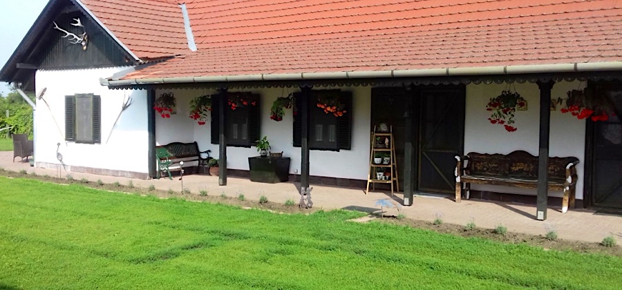 Szívünk Csücske Vendégház-Sarud-35906