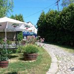Szőlő Vendégház-Balatongyörök-26841