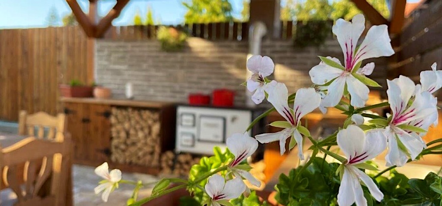 Szőlőszem Vendégház-Abádszalók-35940