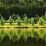 Tavi Vendégház-Szentgotthárd-8469