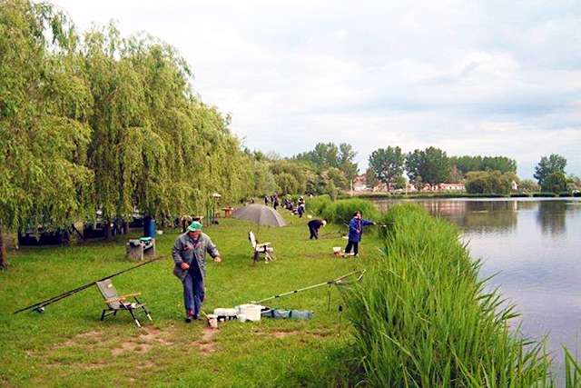 Termál Apartman-Nyírbátor-26328