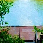 Tisza Parti Horgásztanya-Csongrád-22821