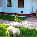 Tisza-tavi Amúrlak-Poroszló-43320