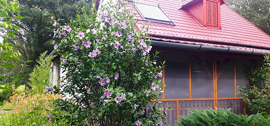 Tiszai Vándor Apartmanház-Kisköre-36028